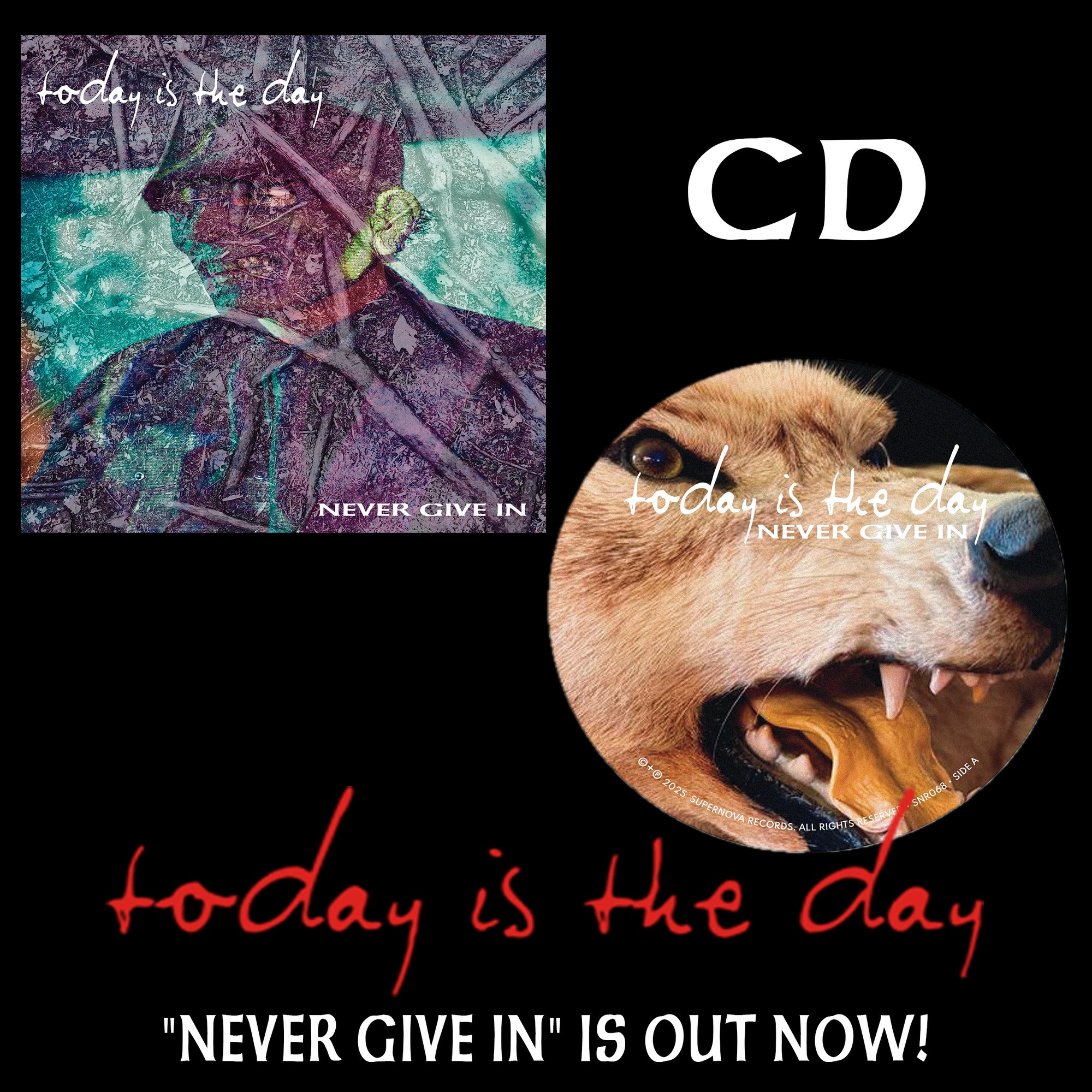 Never Give In CD | SuperNova Records